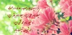 حلول ماه رجب مبارک باد ( روابط عمومی دانشگاه فنی و حرفه ای استان فارس)
 2