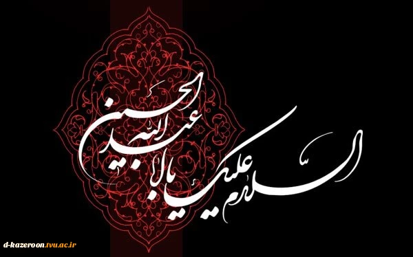 اَلسَّلامُ عَلَیْکَ یا اَباعَبْدِاللَّهِ وَ عَلَى الاَْرْواحِ الَّتى حَلَّتْ بِفِناَّئِکَ 2