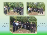 برگزاری مراسم بزرگداشت روز شهدا  5