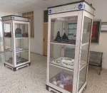 هفته جهانی کارآفرینی گرامی باد  6